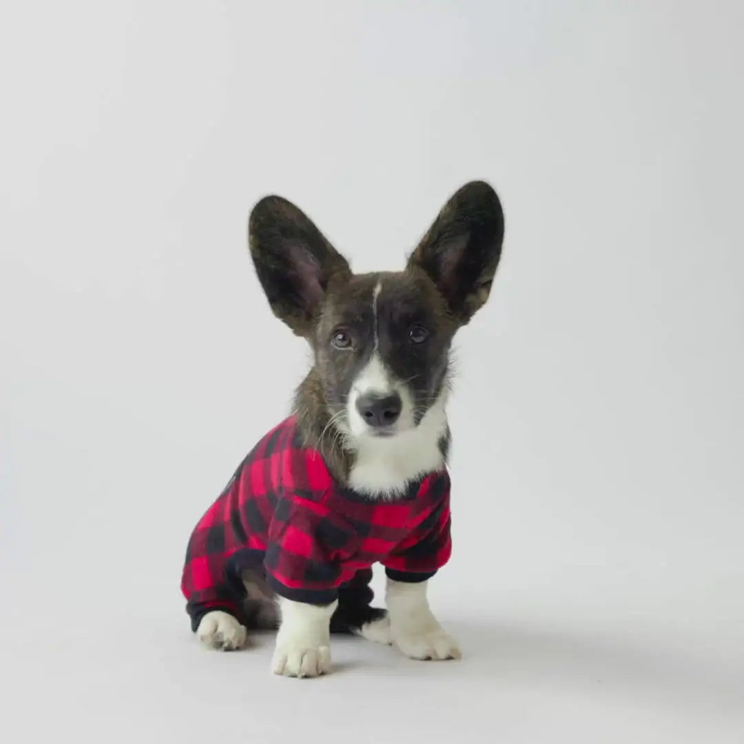 Red Plaid Dog Pajamas
