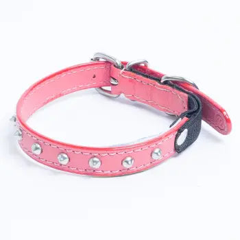 Studded Cat Collars