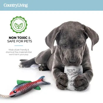 Durable Fish &amp; Mason Jar Dog Toys
