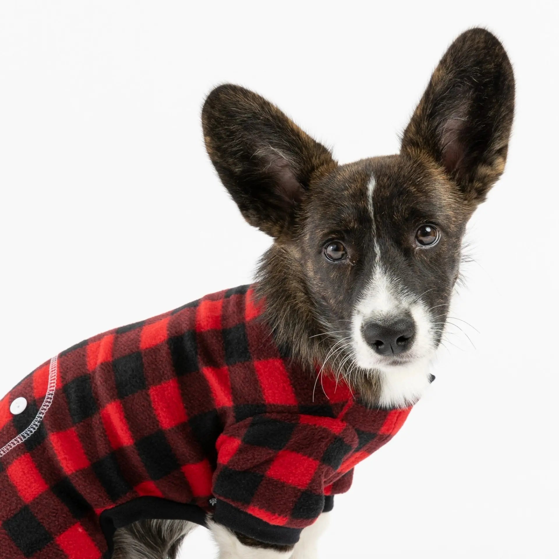 Red Plaid Dog Pajamas