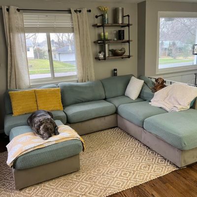 Two dogs relaxing on a teal pet-friendly sofa cover on an L-shaped sectional couch in a bright living room with yellow and white pillows, a geometric rug, industrial shelves, windows showing outdoor view, and a small ottoman with a blanket.