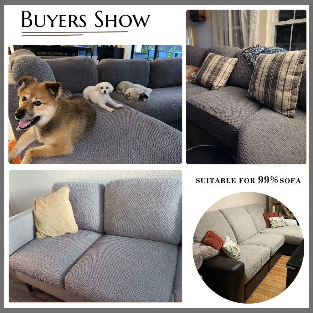 Collage of a gray sofa with dogs on it, surrounded by images of the sofa with cushions.